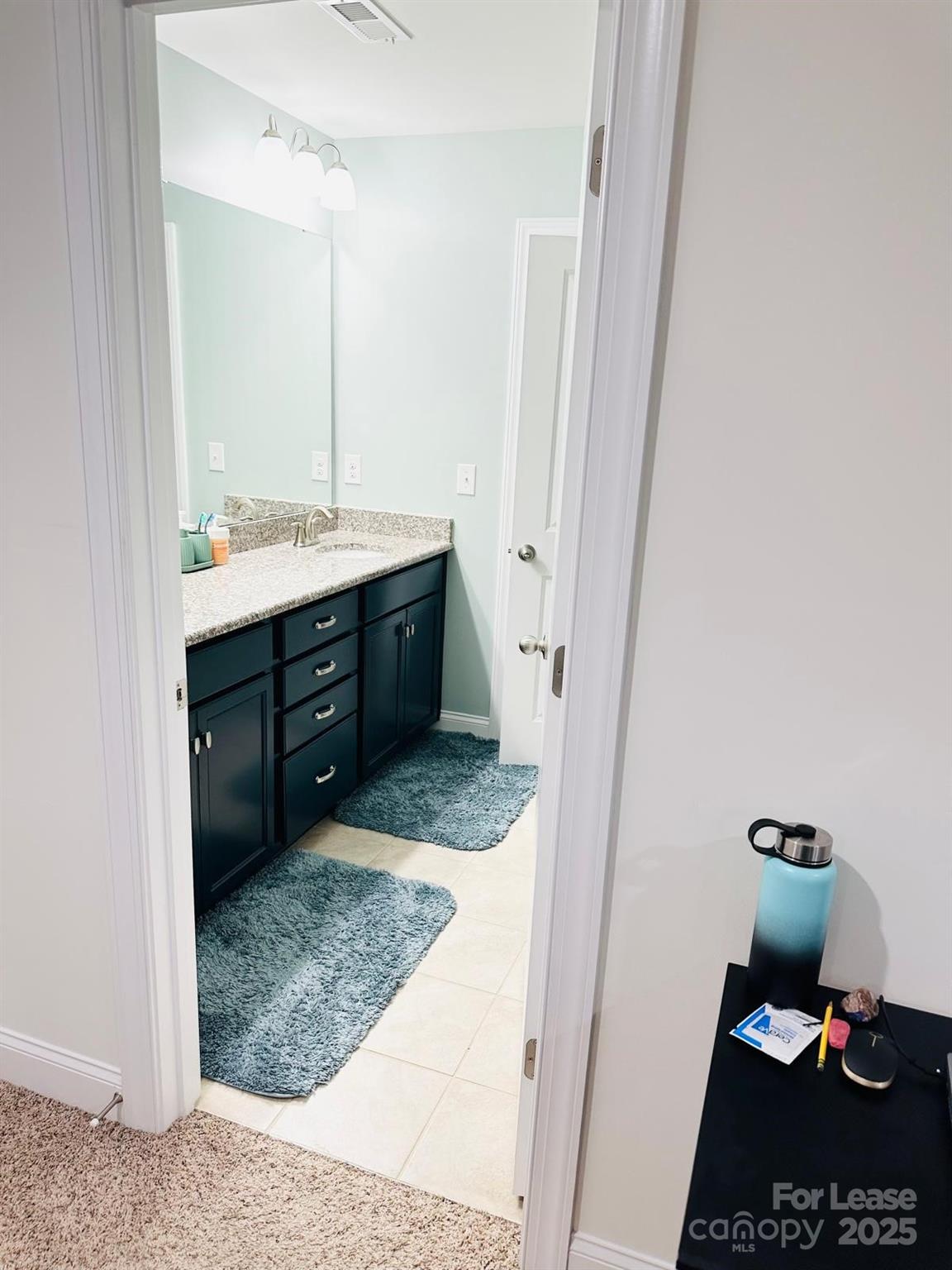 1046 Dina Drive Fort Mill, SC 29708 - Photo 35 of 45