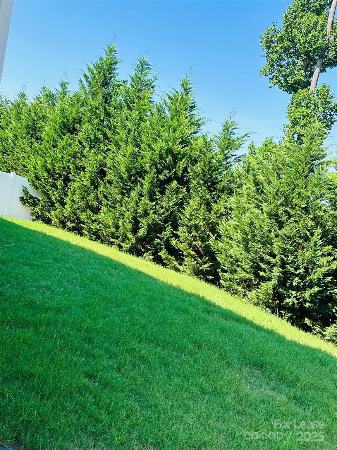 1046 Dina Drive Fort Mill, SC 29708 - Photo 45 of 45