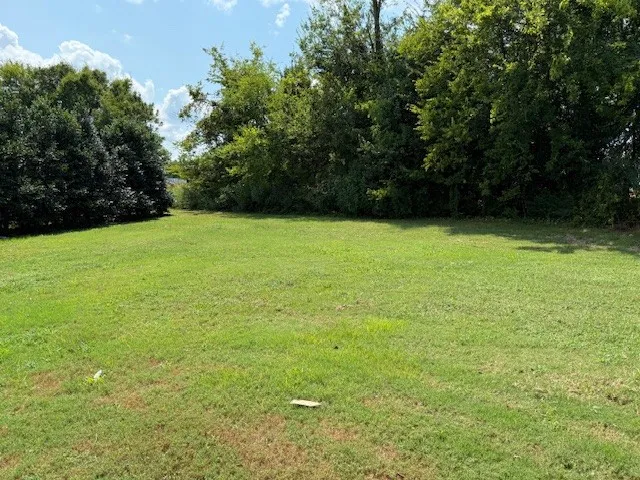 a view of a field with an trees