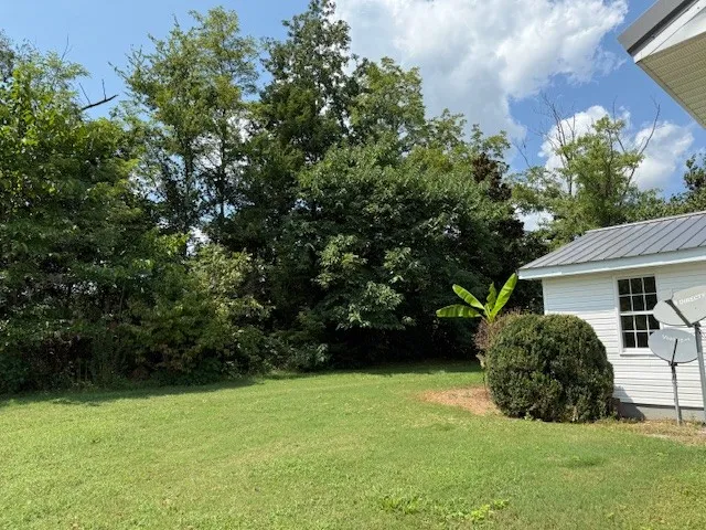 a view of backyard with garden