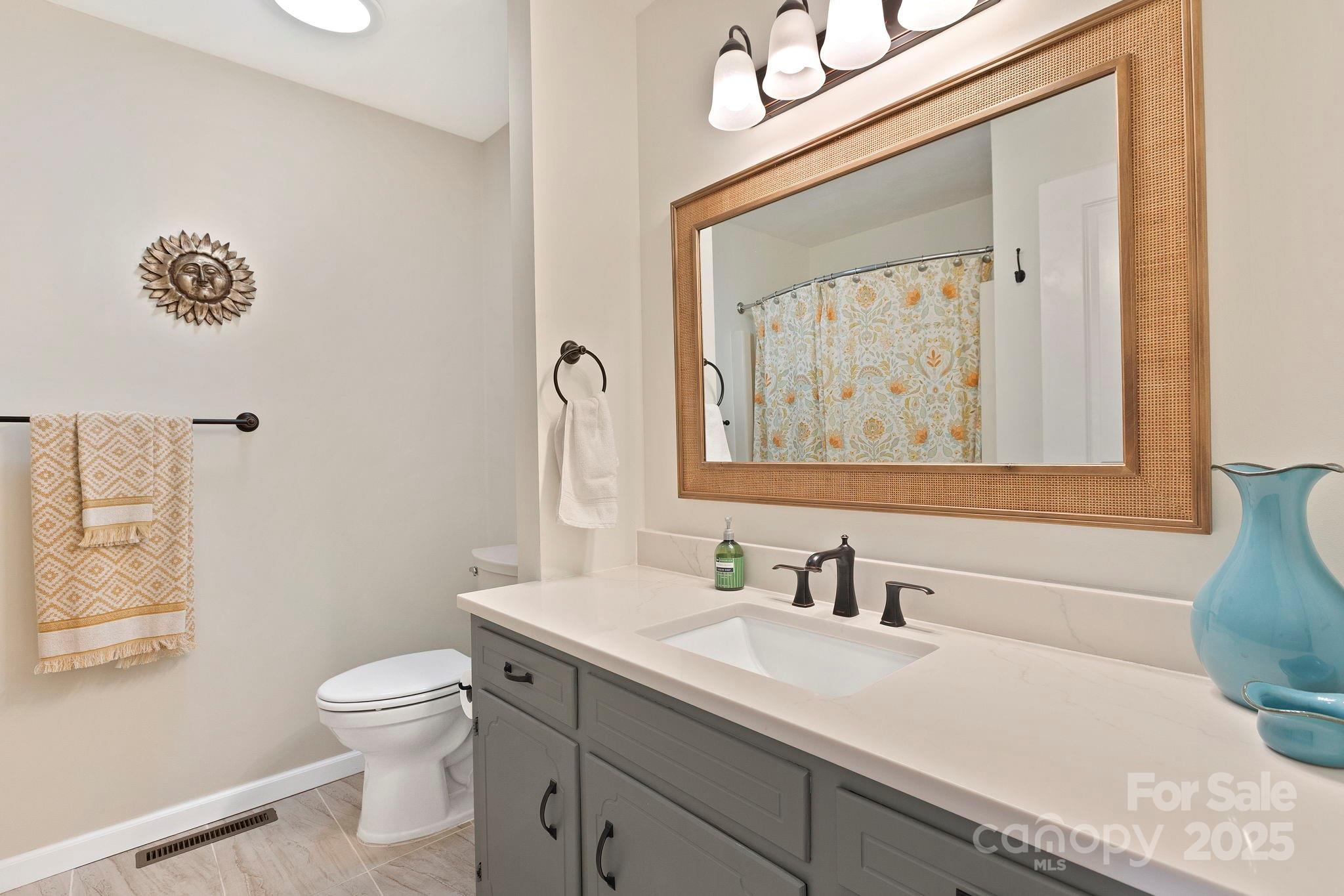 228 Raintree Drive Hendersonville, NC 28791 - Photo 28 of 37 a bathroom with a toilet a sink and mirror