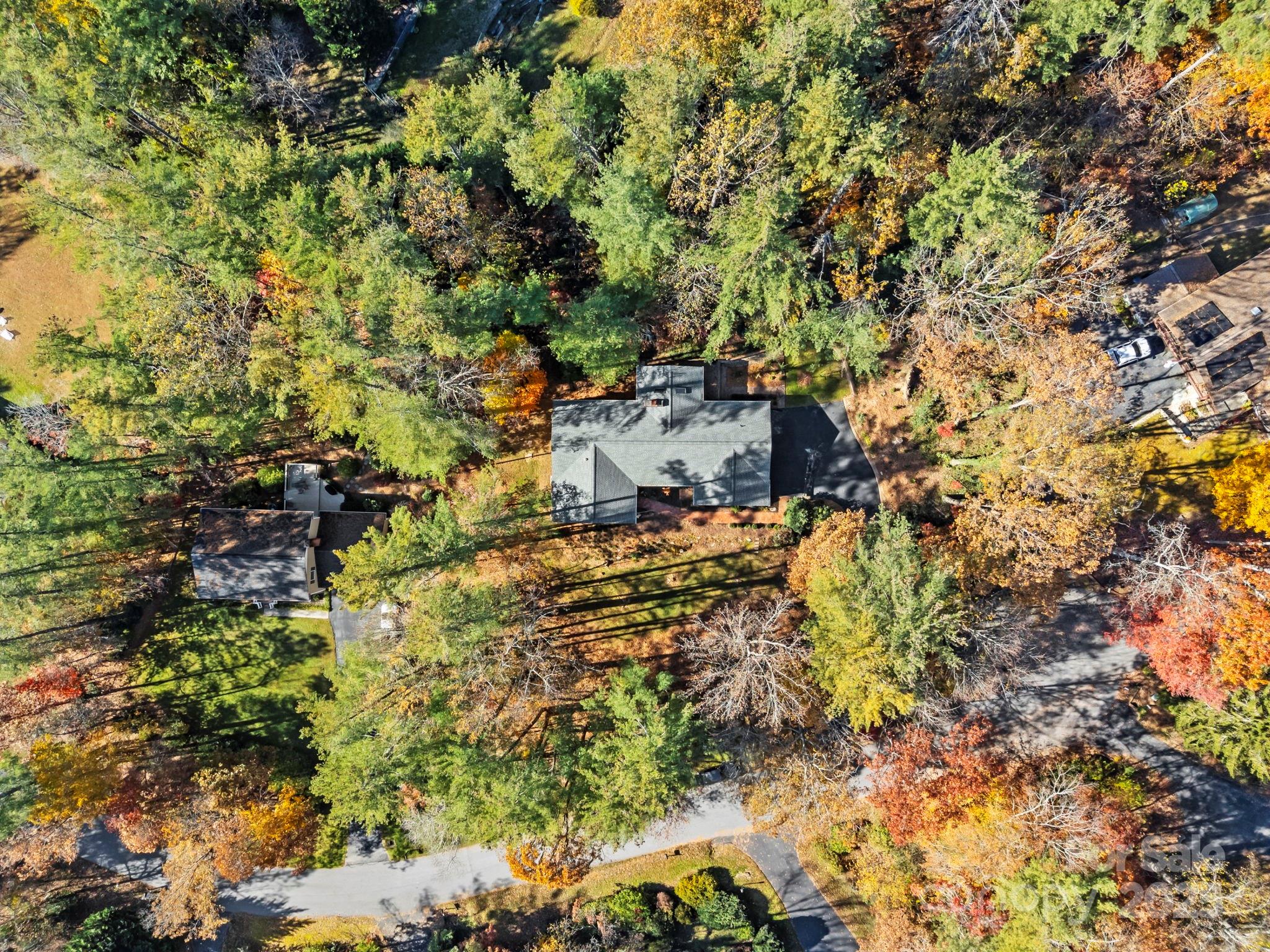 228 Raintree Drive Hendersonville, NC 28791 - Photo 35 of 37 a picture of trees