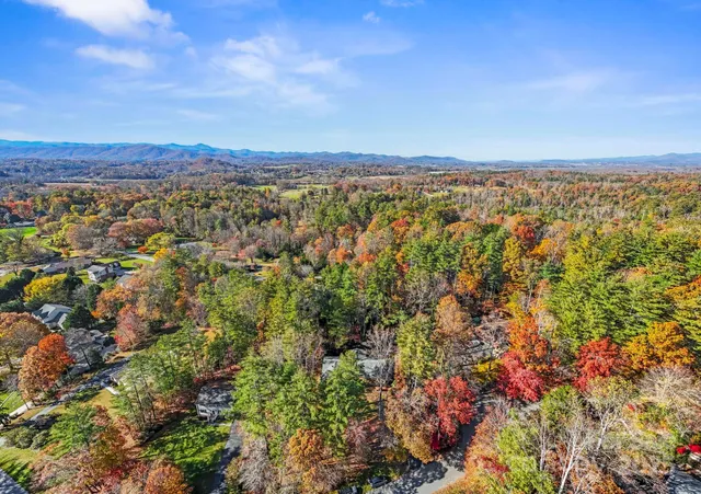 a view of a city with lush green forest