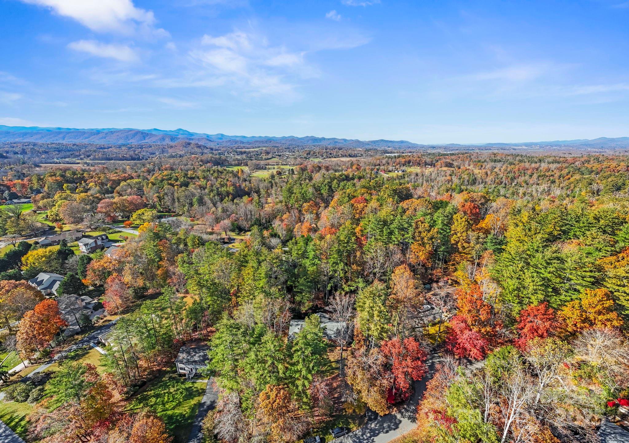 228 Raintree Drive Hendersonville, NC 28791 - Photo 36 of 37 a view of a city with lush green forest