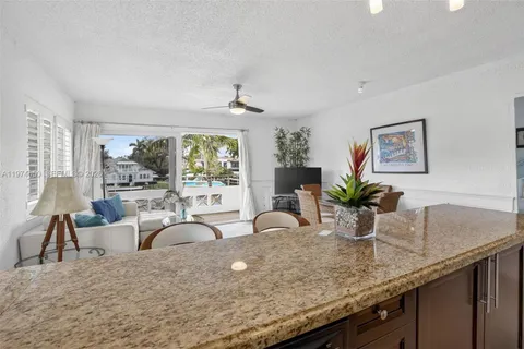 a kitchen with granite countertop a sink and potted plant