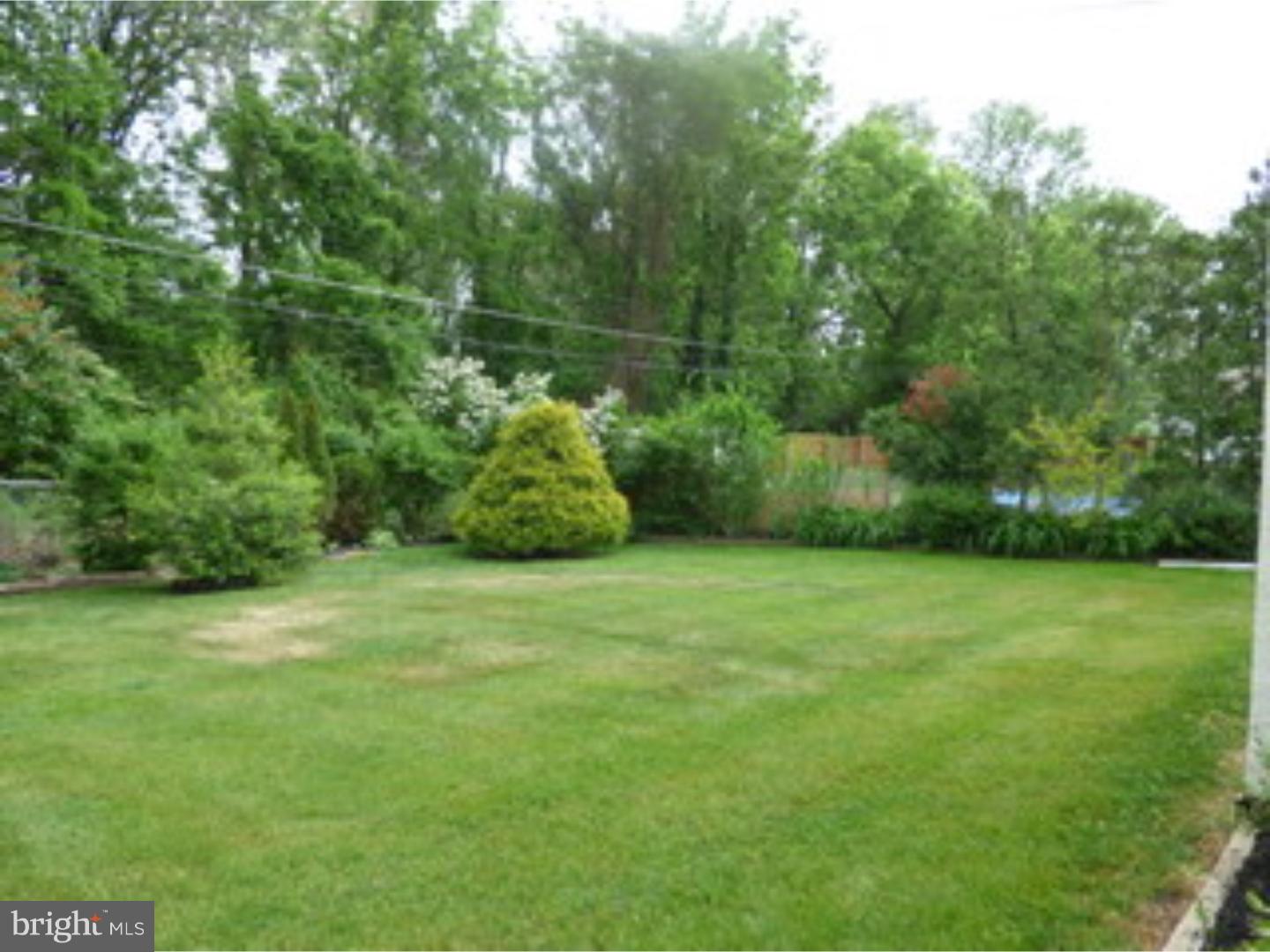 1275 Thomson Road Roslyn, PA 19001 - Photo 22 of 25 Back Yard