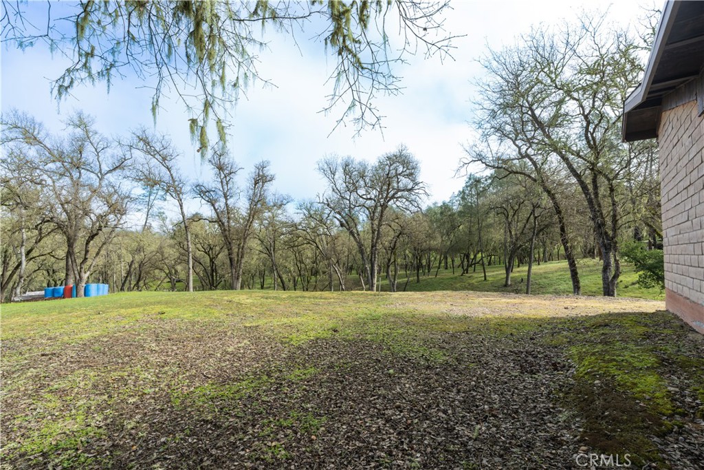 4500 Gage Irving Road Paso Robles, CA 93446 - Photo 11 of 16 a view of outdoor space with trees all around