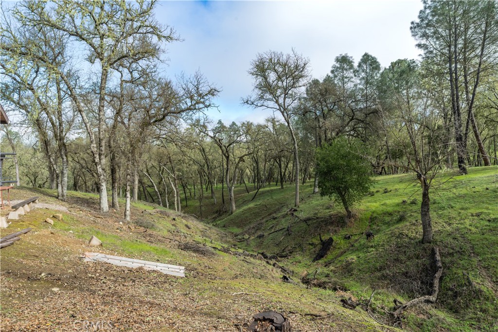 4500 Gage Irving Road Paso Robles, CA 93446 - Photo 12 of 16 a view of a park