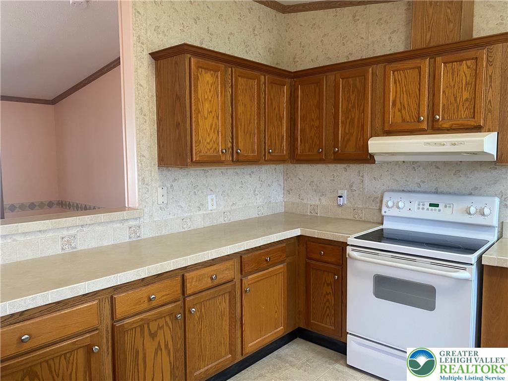 82 Pheasant Drive Kutztown, PA 19530 - Photo 10 of 32 a kitchen with a sink cabinets and appliances