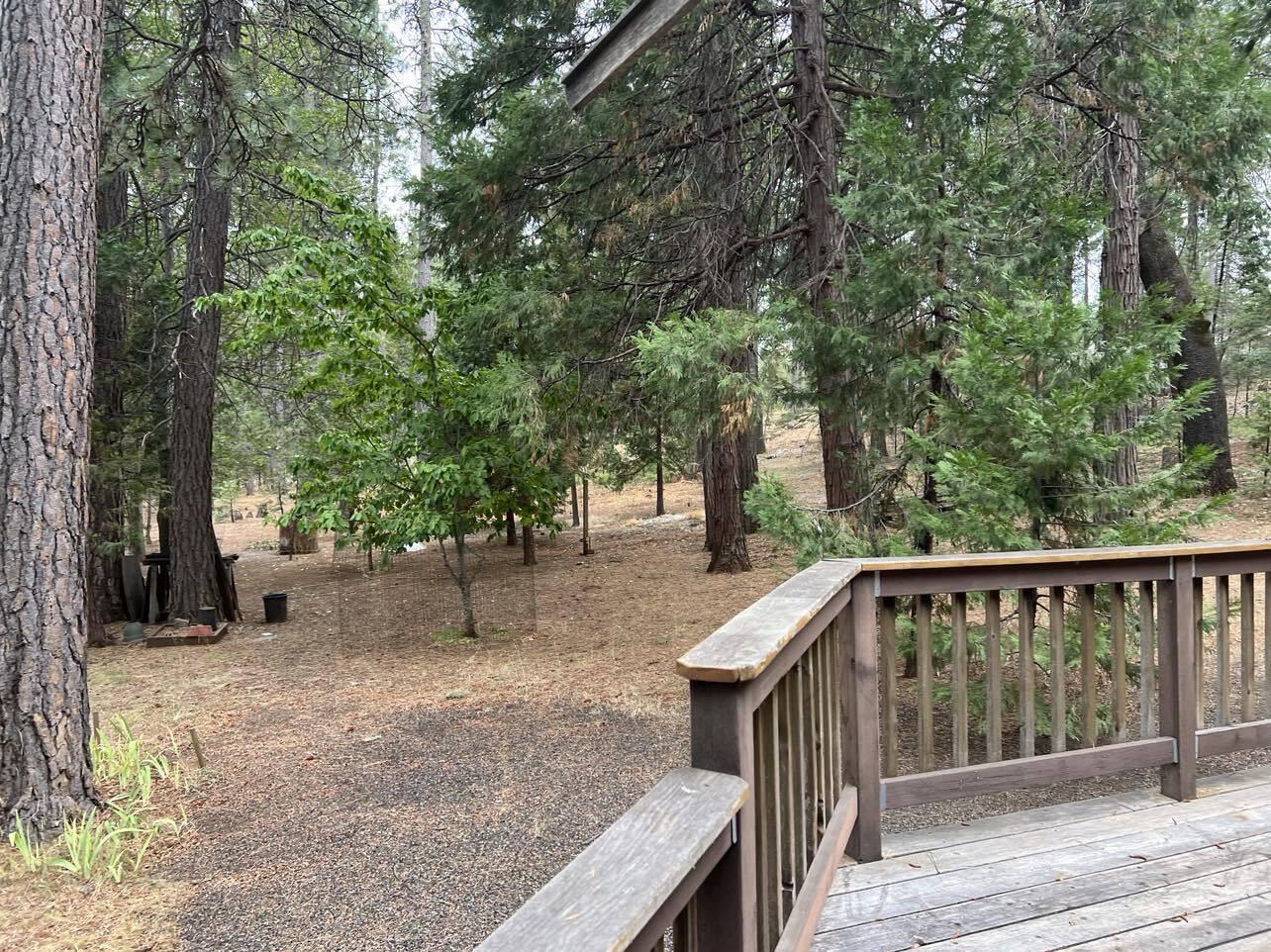 6818 Wilson Hill Road Shingletown, CA 96088 - Photo 10 of 49 SOUTH SIDE YARD