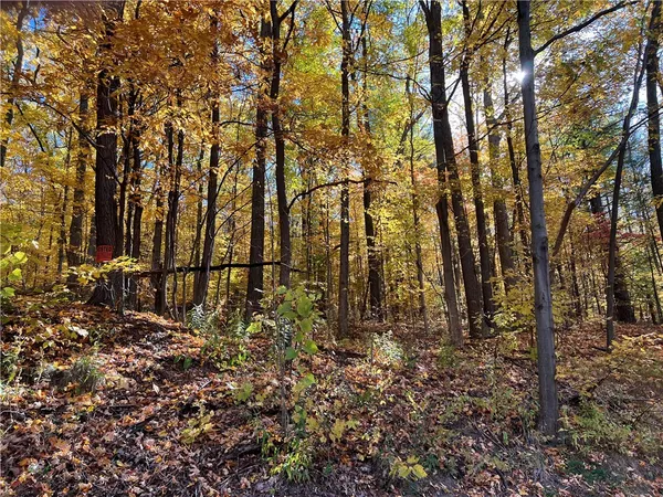 $80,000 | 0 State Route 54, Hammondsport, NY 14840