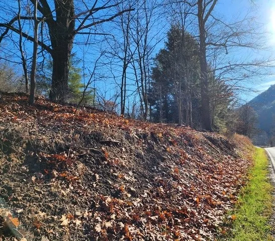 $75,000 | Lot E Lot E Flanders Subdivision, Driftwood, PA 15832