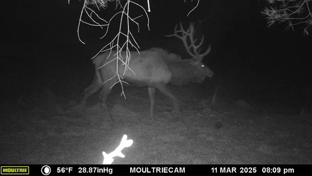 $75,000 | Lot E Lot E Flanders Subdivision, Driftwood, PA 15832