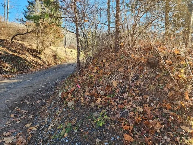 $75,000 | Lot E Lot E Flanders Subdivision, Driftwood, PA 15832