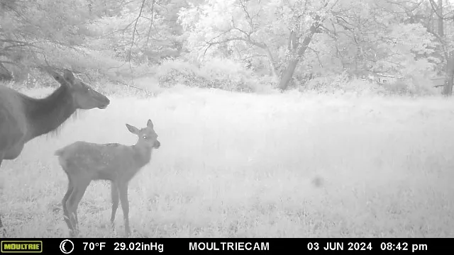 $75,000 | Lot E Lot E Flanders Subdivision, Driftwood, PA 15832