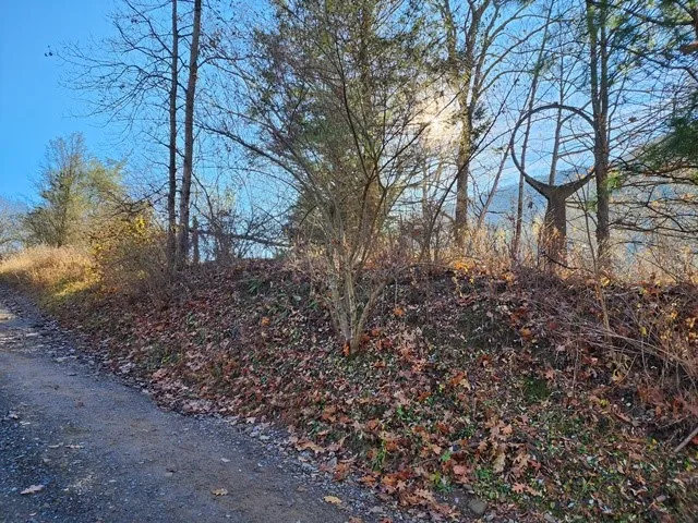$75,000 | Lot E Lot E Flanders Subdivision, Driftwood, PA 15832