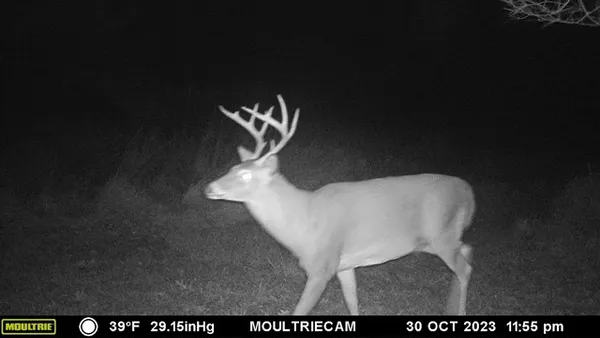 $75,000 | Lot E Lot E Flanders Subdivision, Driftwood, PA 15832