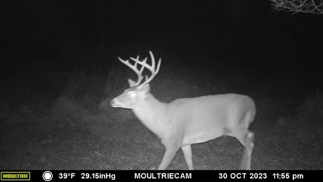 $75,000 | Lot E Lot E Flanders Subdivision, Driftwood, PA 15832