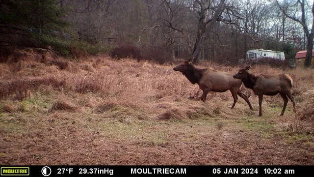 $75,000 | Lot E Lot E Flanders Subdivision, Driftwood, PA 15832