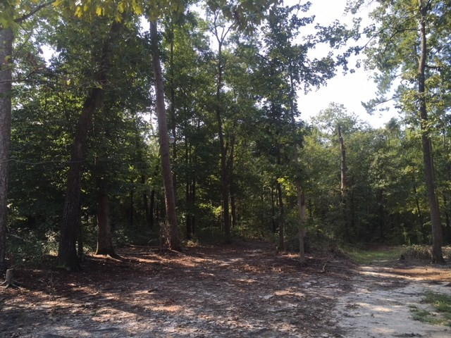 123 2 Oaks Road Beech Island, SC 29842 - Photo 26 of 27