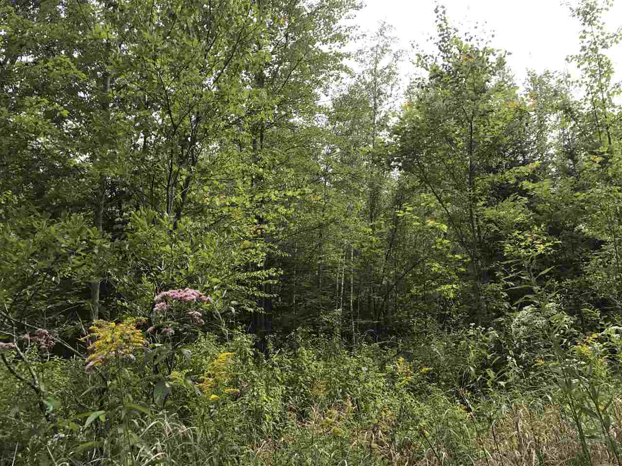 75 Houle Road Hyde Park, VT 05655 - Photo 4 of 5 Gallery Image 4