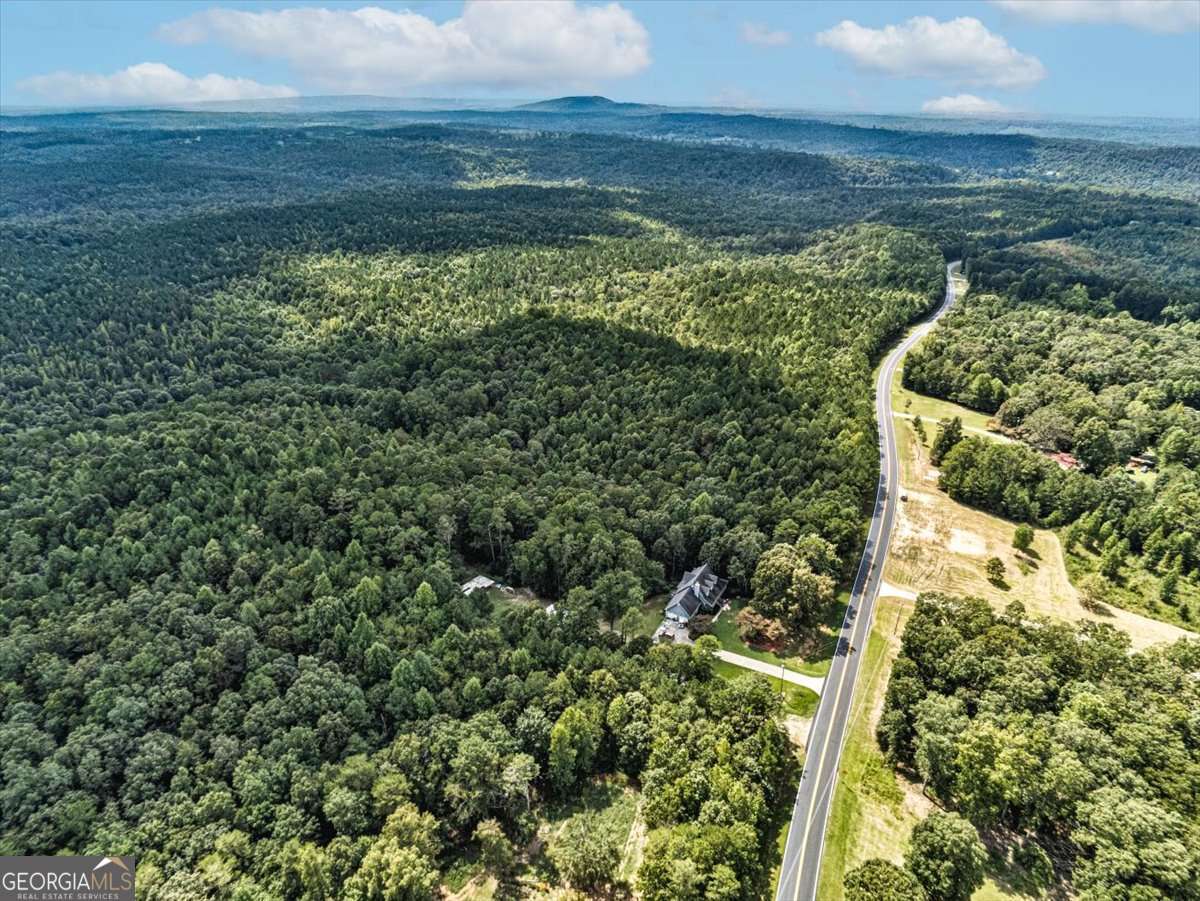 Tract 6 Old Ridgeway Road Bremen, GA 30110 - Photo 1 of 1 a view of a lake