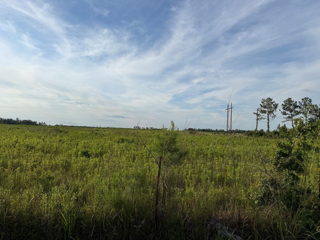 1 Conine Road Lakeland, GA 31635 - Photo 7 of 9 Gallery Image 7