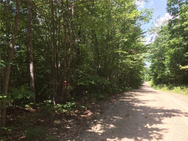 D Weld Road Wilton, ME 04294 - Photo 4 of 11 4