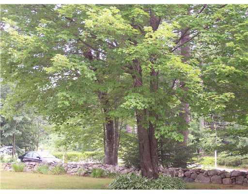 74 Emerson Drive Windham, ME 04062 - Photo 16 of 19 Land.