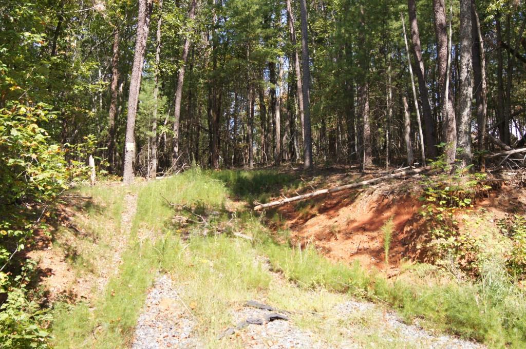 Driveway is roughed in for easy access to the property.