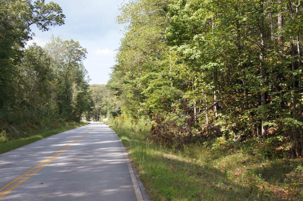 2 Damascus Church Road Dahlonega, GA 30533 - Photo 2 of 10 Road frontage on Damascus Church Road.
