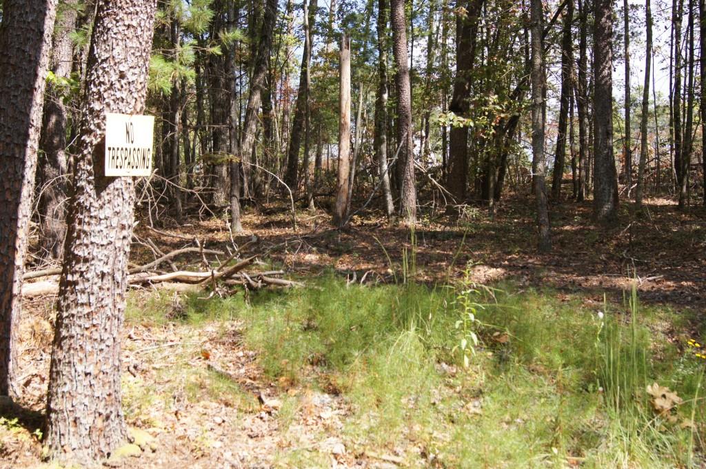 2 Damascus Church Road Dahlonega, GA 30533 - Photo 3 of 10 Gentle hilltop terrain.