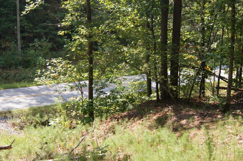 2 Damascus Church Road Dahlonega, GA 30533 - Photo 4 of 10 No steep long drive from the paved road into the property.