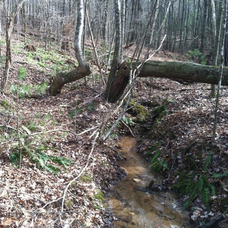2 Damascus Church Road Dahlonega, GA 30533 - Photo 10 of 10 Spring fed creek flow through the property.