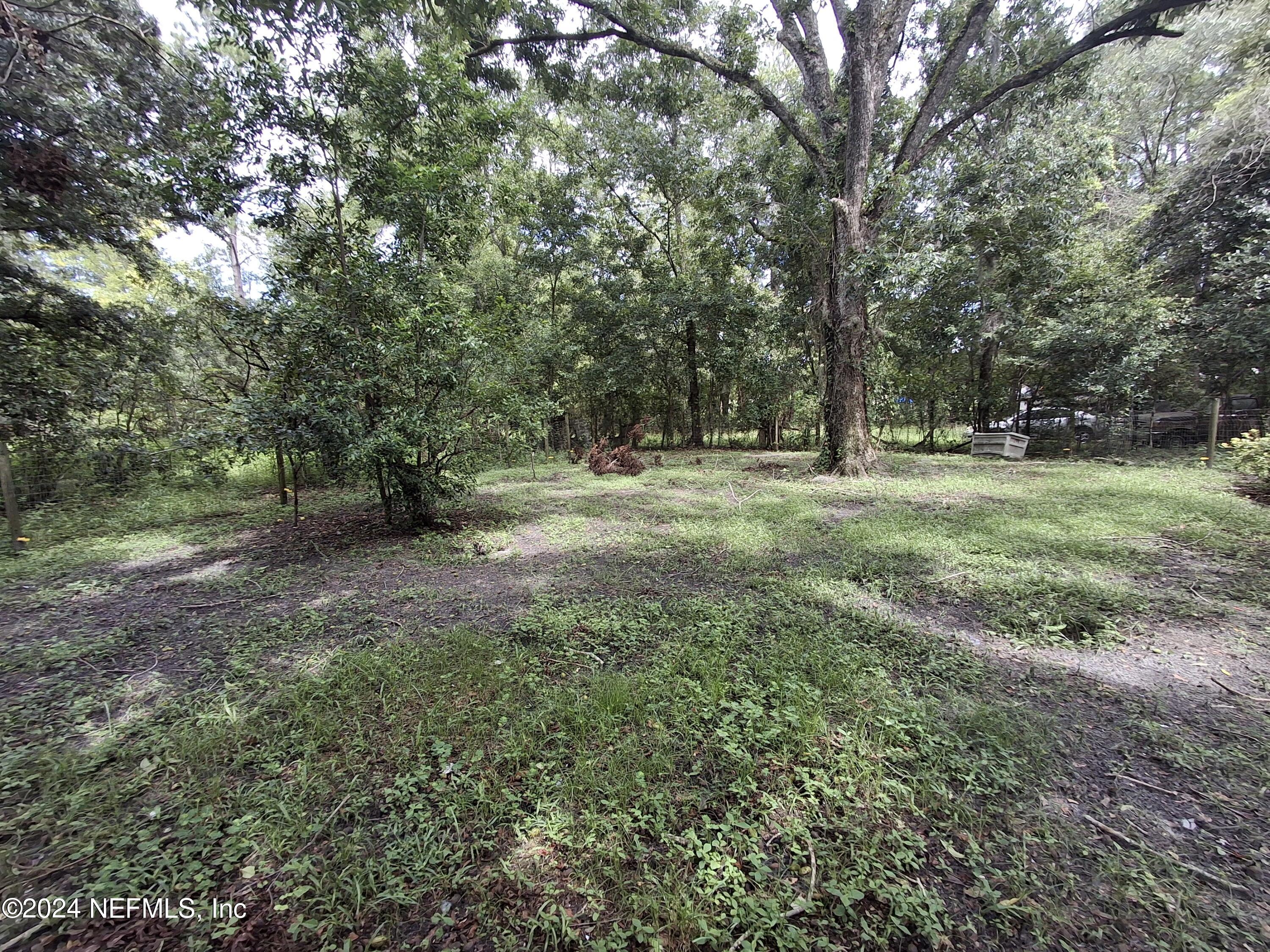 3742 Old Jennings Road Middleburg, FL 32068 - Photo 3 of 8 Yard