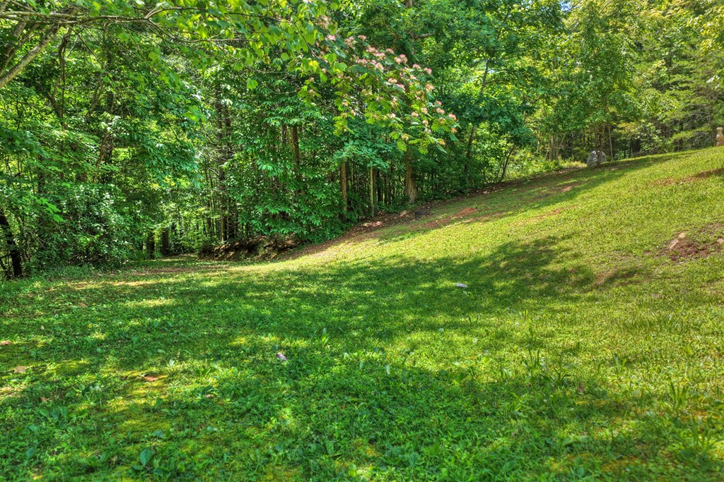 1207 Bullen Gap Road Blue Ridge, GA 30513 - Photo 55 of 61