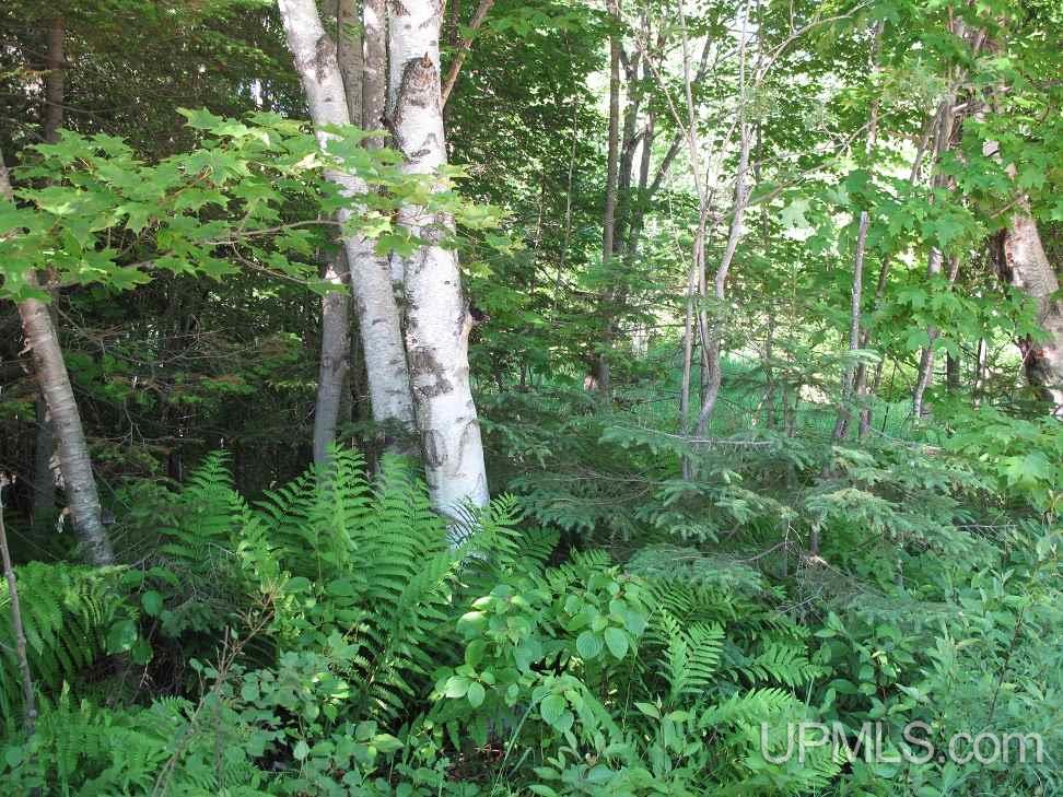 Webb Road, Unit 6 Grand Marais, MI 49839 - Photo 4 of 6 Gallery Image 4