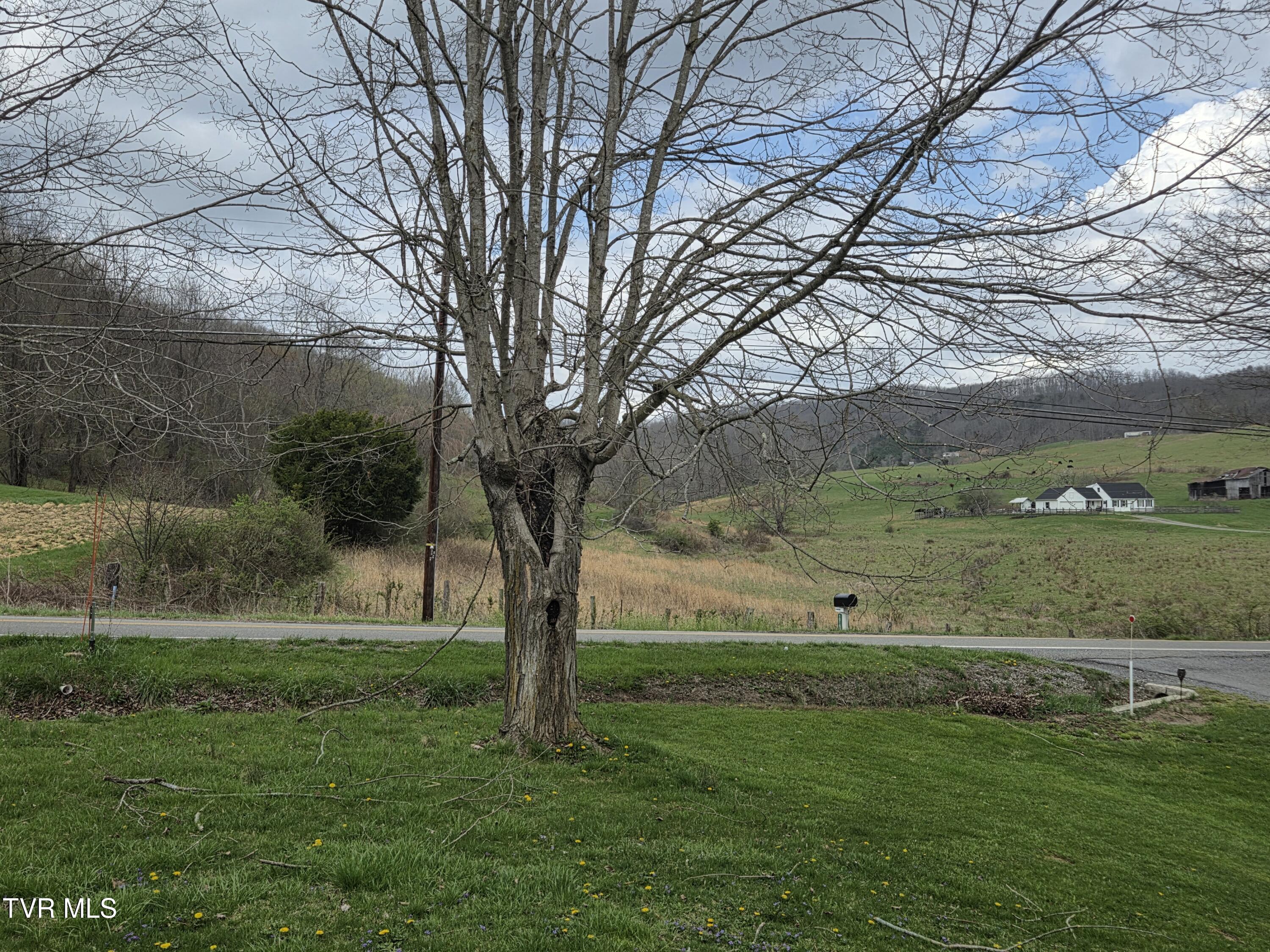 10189 Crescent Road Glade Spring, VA 24340 - Photo 20 of 28 *