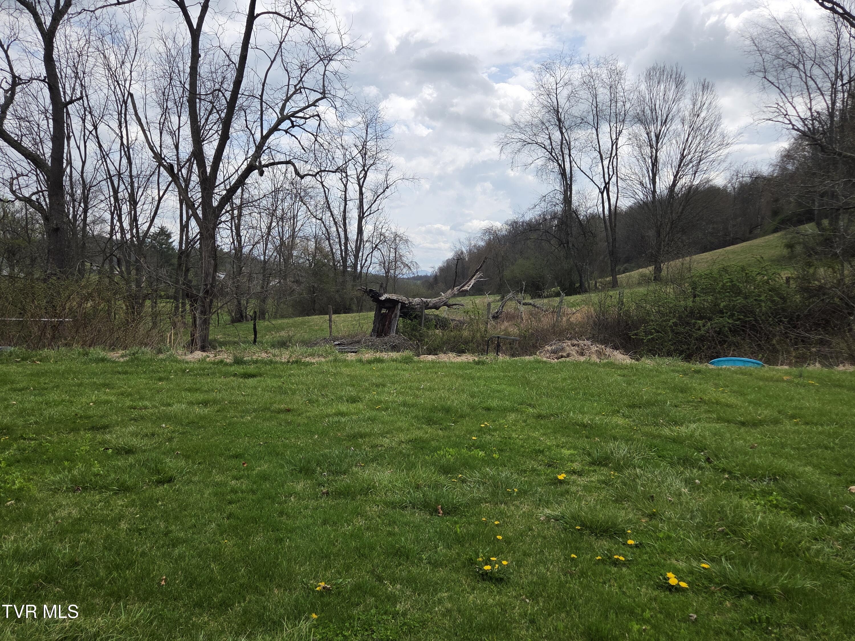 10189 Crescent Road Glade Spring, VA 24340 - Photo 5 of 28 *