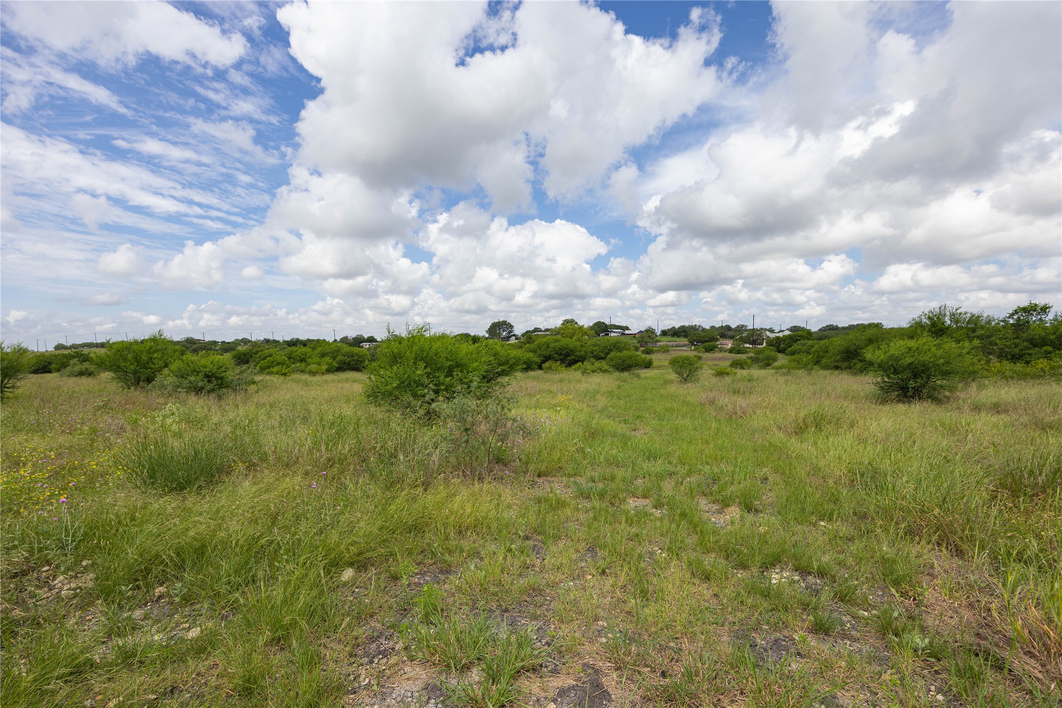 6868 Pfeil Road Schertz, TX 78154 - Photo 11 of 14 a view of a lake from a yard