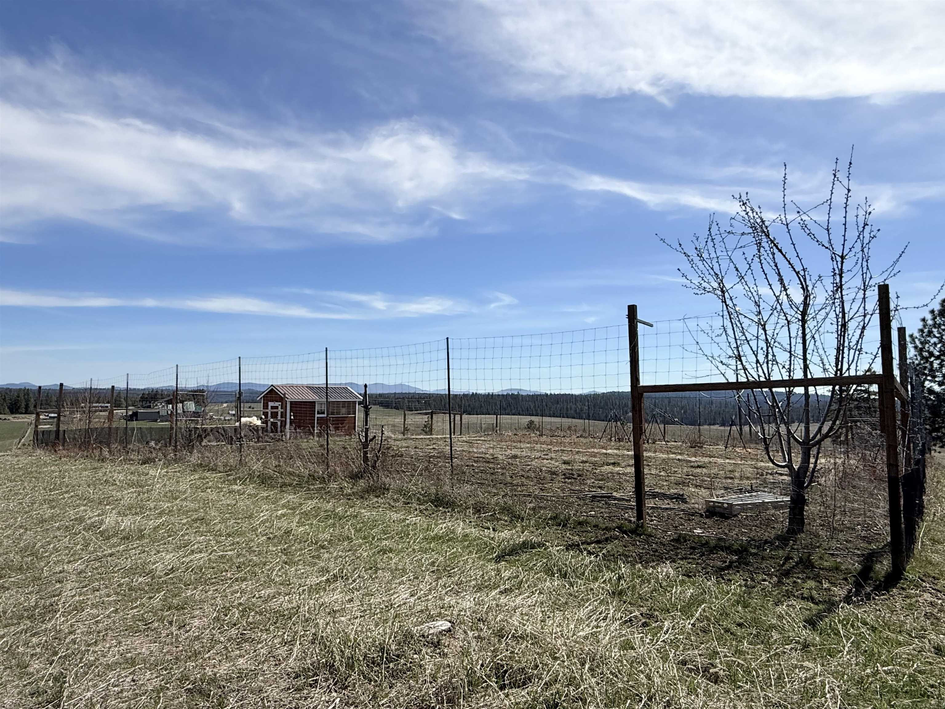 5205 Allen Road Springdale, WA 99173 - Photo 37 of 50
