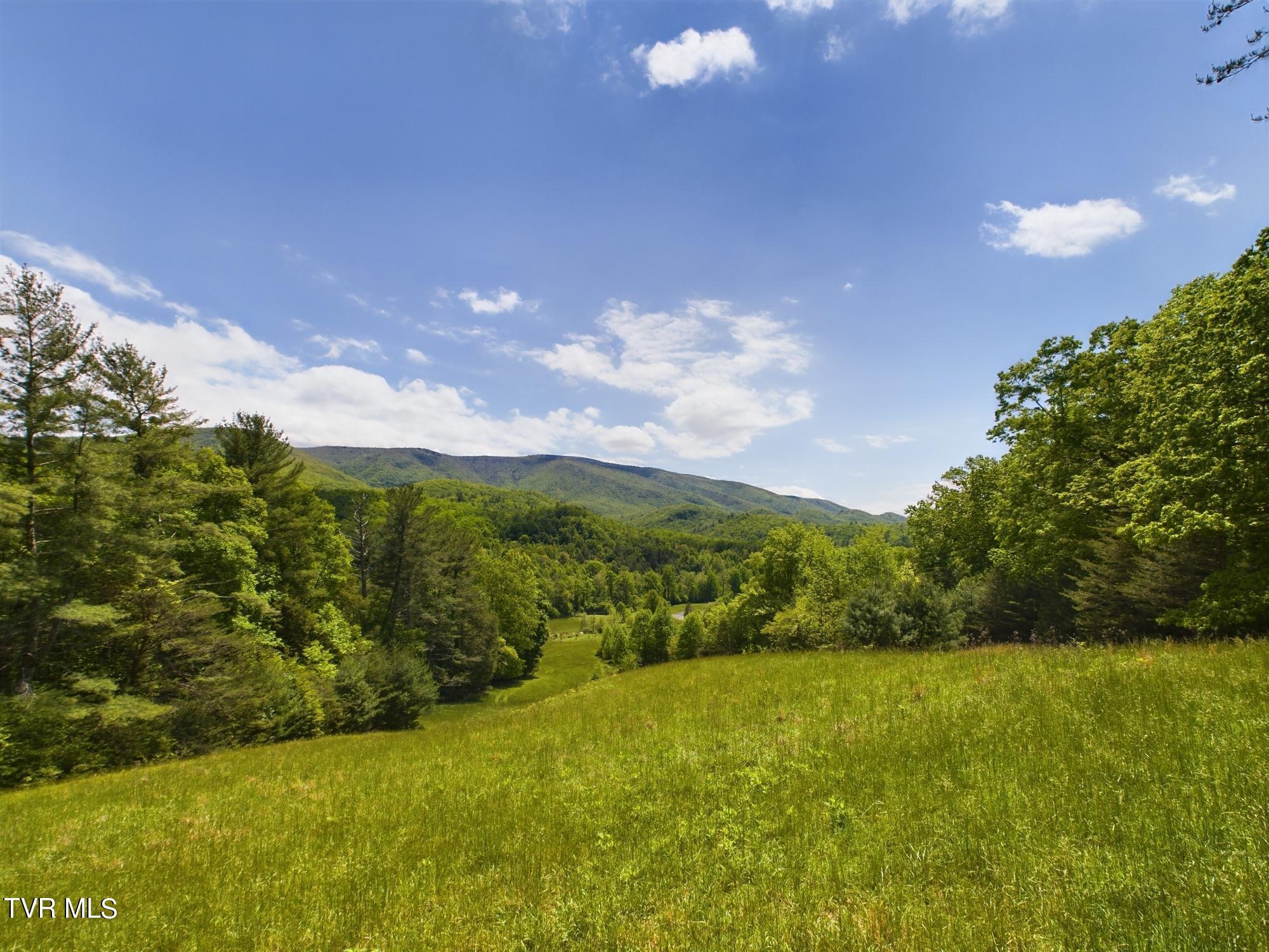 115 Edith Shelton Road Unicoi, TN 37692 - Photo 42 of 67 CAM03826G0-PR0006-STILL001