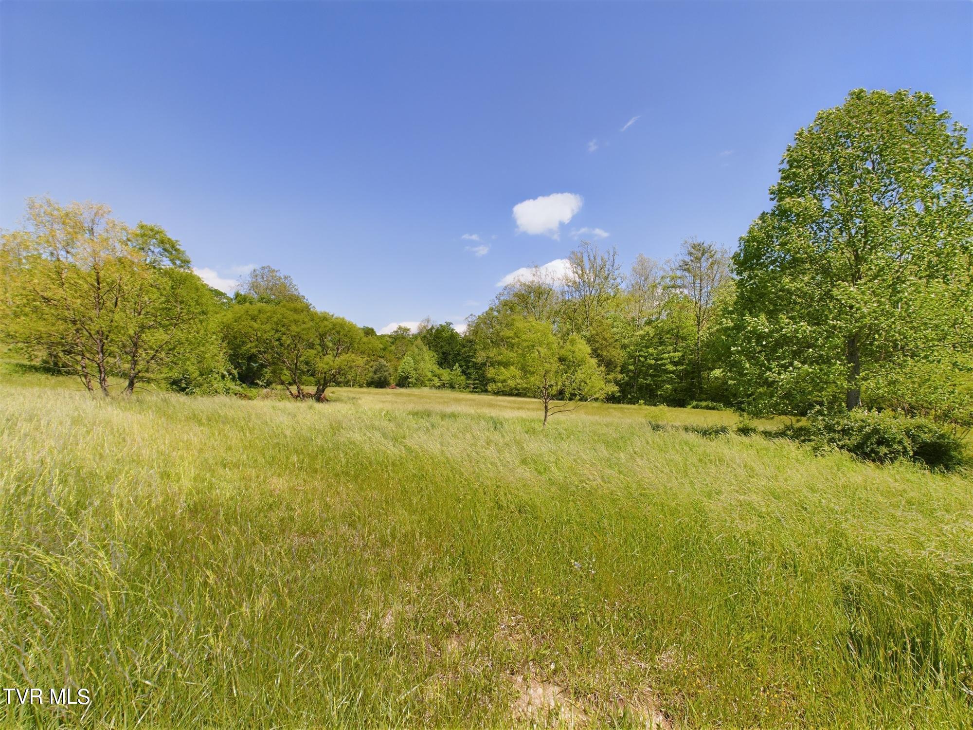 115 Edith Shelton Road Unicoi, TN 37692 - Photo 43 of 67 CAM03826G0-PR0006-STILL005