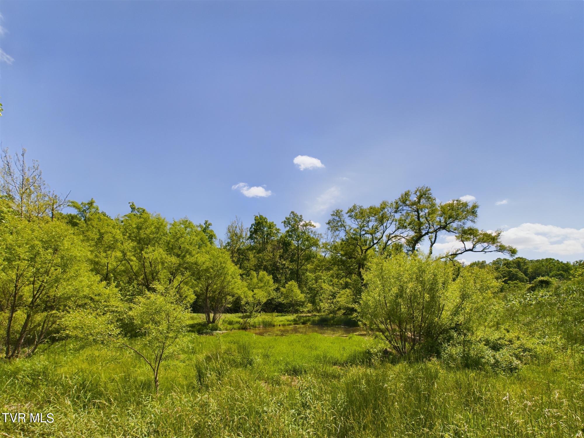 115 Edith Shelton Road Unicoi, TN 37692 - Photo 44 of 67 CAM03826G0-PR0006-STILL004