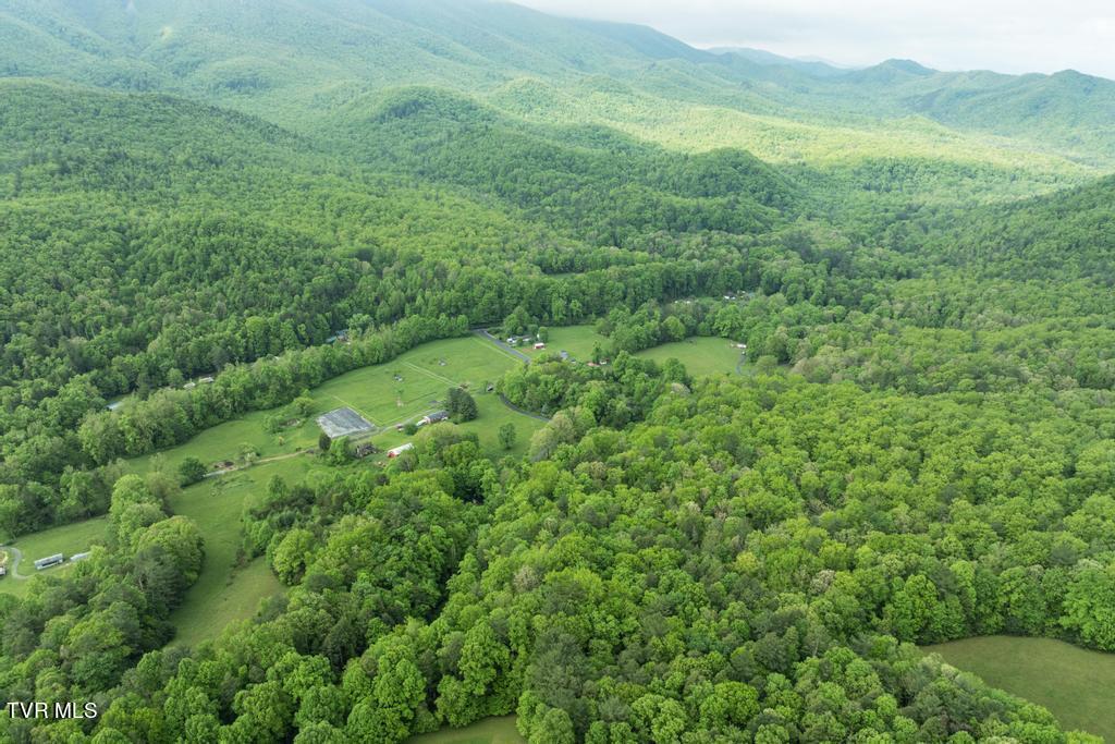 115 Edith Shelton Road Unicoi, TN 37692 - Photo 54 of 67 DJI_0585