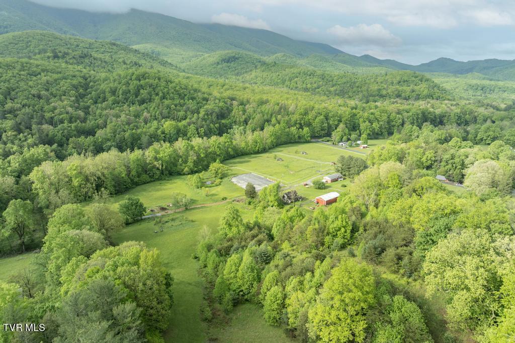 115 Edith Shelton Road Unicoi, TN 37692 - Photo 66 of 67 DJI_0601 copy