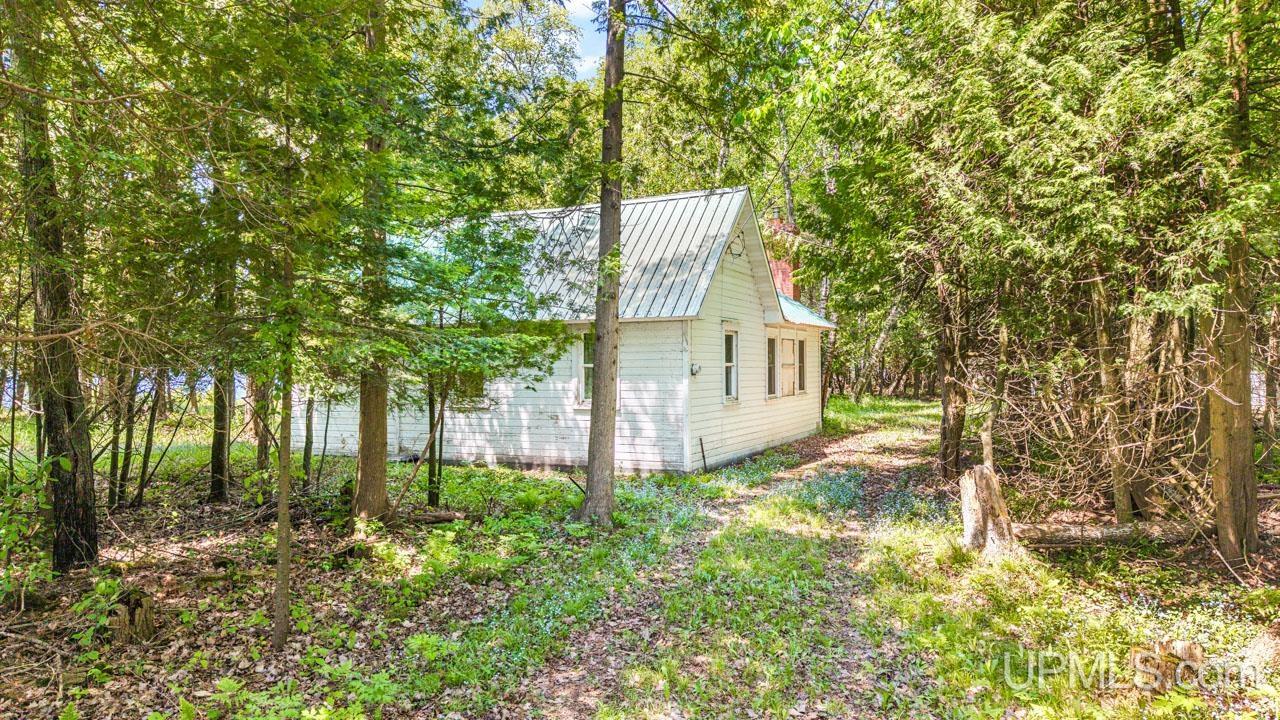 5217 County Road 513 Road Rapid River, MI 49878 - Photo 6 of 14