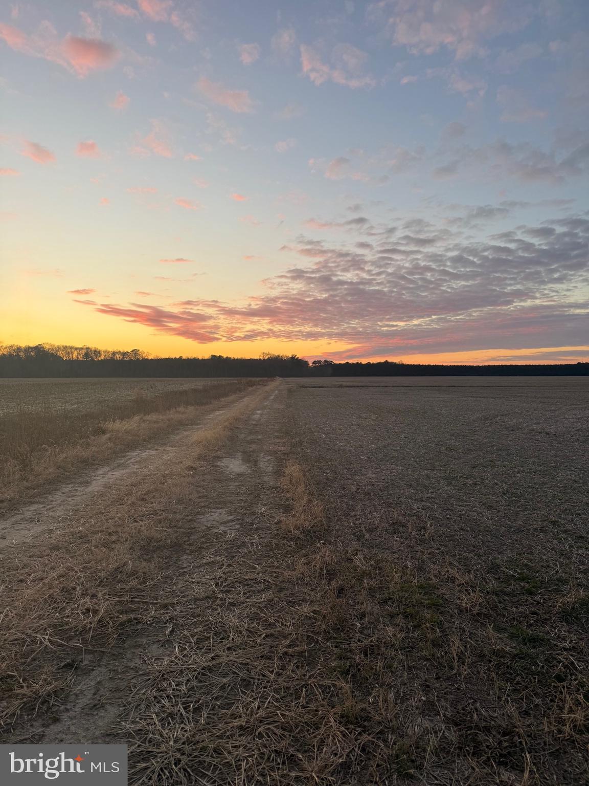 535 Critcher Road Pocomoke City, MD 21851 - Photo 11 of 12