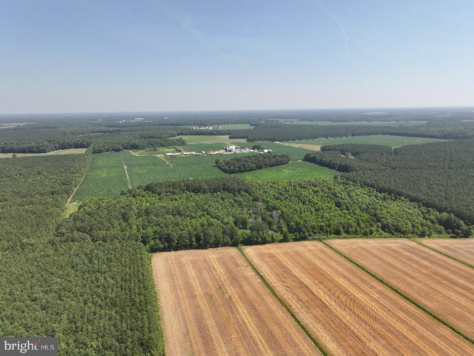 535 Critcher Road Pocomoke City, MD 21851 - Photo 3 of 12