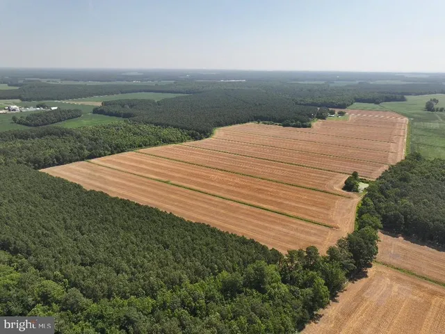 a view of a lake with a yard